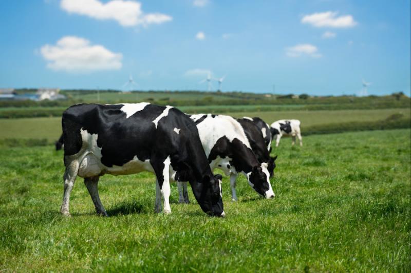 A complete range of products for the care of the breasts and the sanitization of the environments